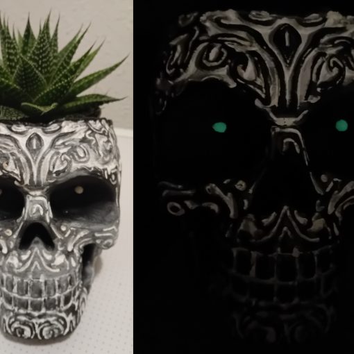skull finished
